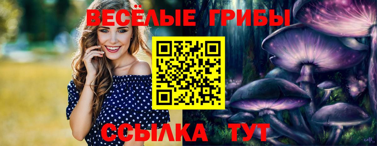 где можно купить   Вход с VPN  Набережные Челны  Галлюциногенные грибы мицелий 