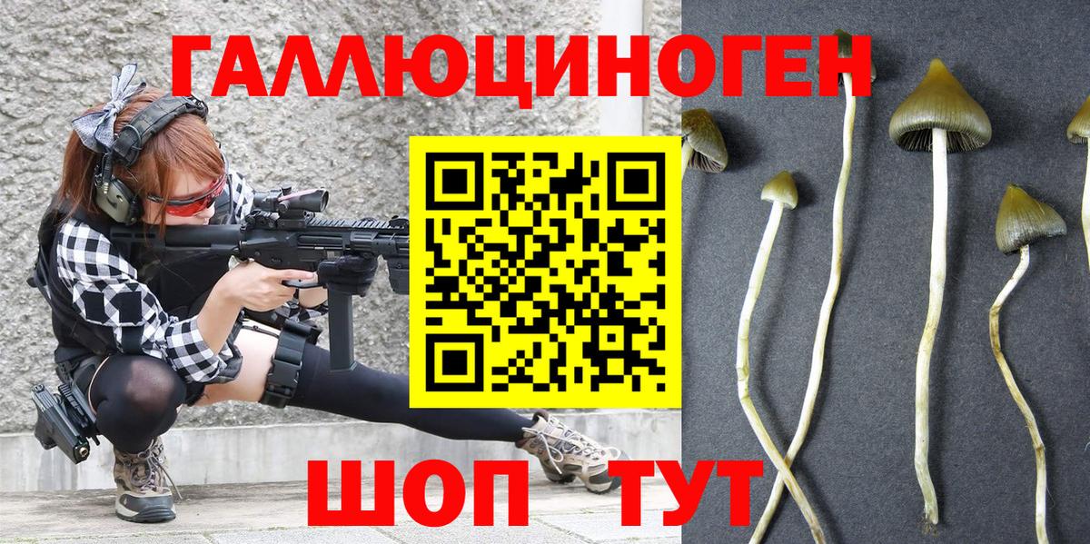Галлюциногенные грибы прущие грибы Набережные Челны